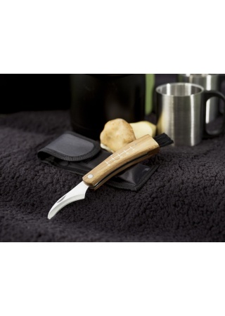 Mushroom picking knife in a sheath  