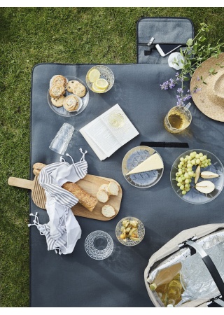 PICKNICK BOWL 4-PAC, TRANSPARENT  