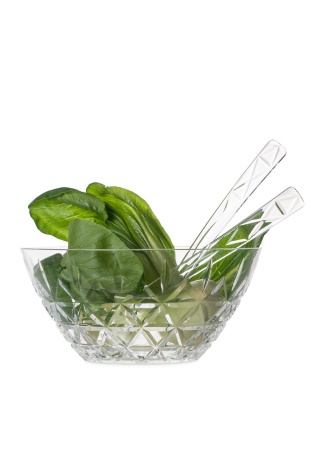 PICKNICK SALAD SERVER  