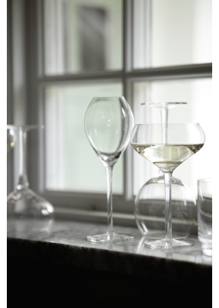 SAGA WINE GLASS, 2-PACK  