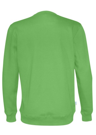 Mikina CREW NECK (GOTS) Zelená Back